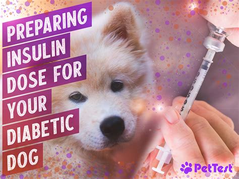 25 U/kg if glucose is < 360 mg/dL. . How fast will human insulin kill a dog at home